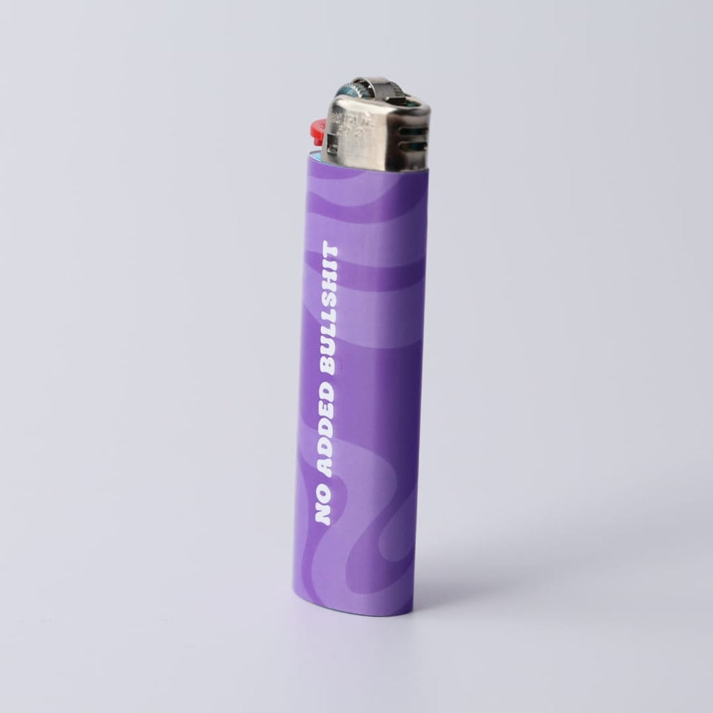 The Turtle Stuff Lighter 6