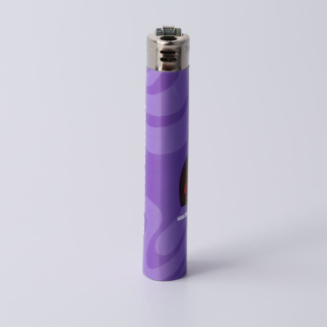 The Turtle Stuff Lighter 8