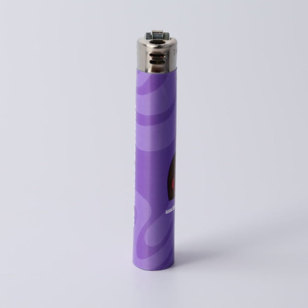 The Turtle Stuff Lighter 9