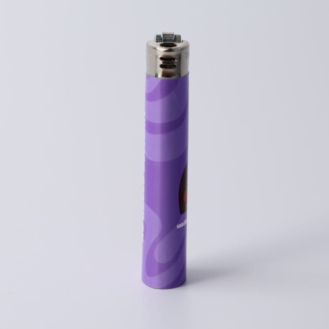 The Turtle Stuff Lighter 9