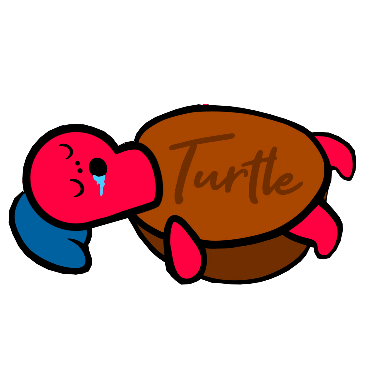 The Turtle Stuff